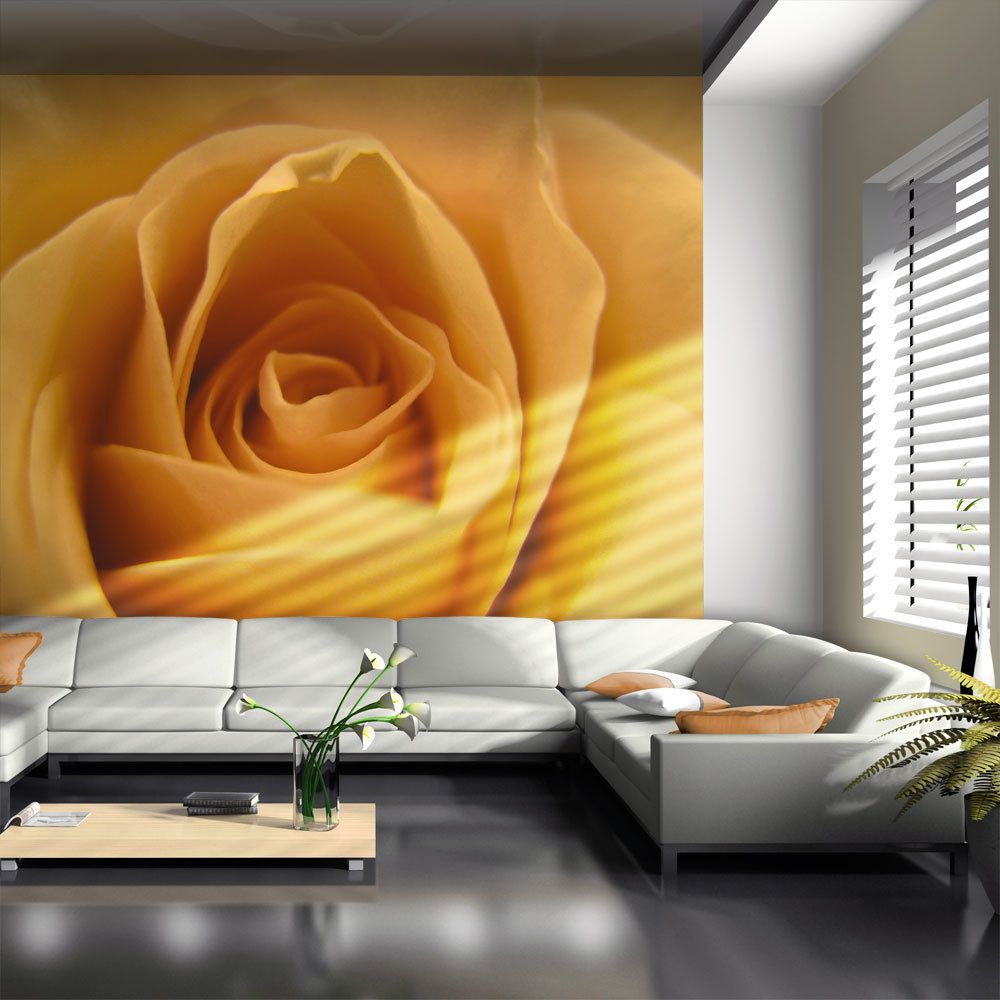 Bimago - Papier peint | Rose jaune | 250x193 | Fleurs | Roses | symbole de l'amitié | - Papier peint
