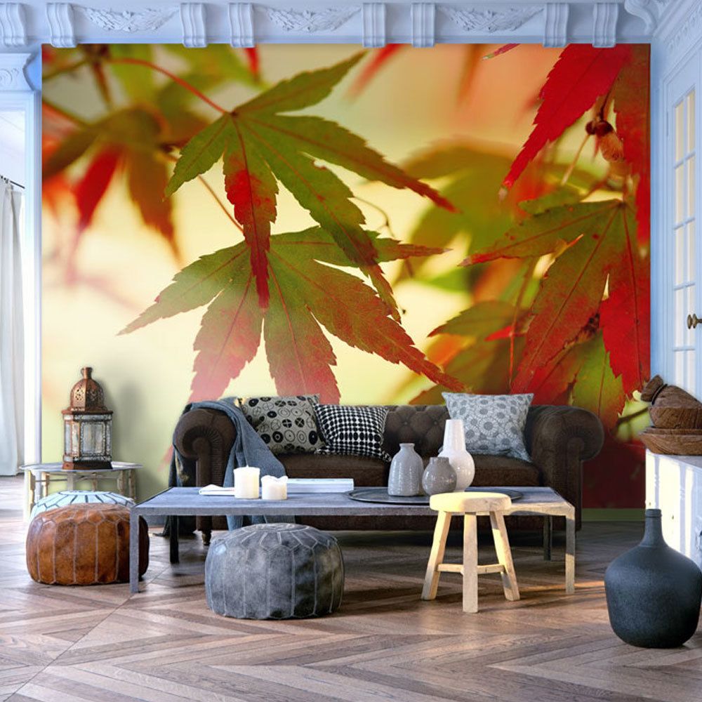 Bimago - Papier peint - Feuilles colorées - Décoration, image, art | Paysages | Arbres et Forêt | - Papier peint