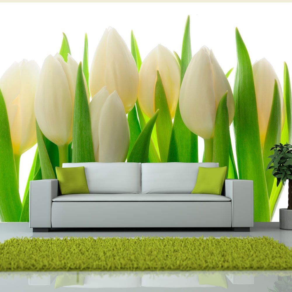 Bimago - Papier peint | Tulipes blanches | 250x193 | Fleurs | Tulipes | - Papier peint