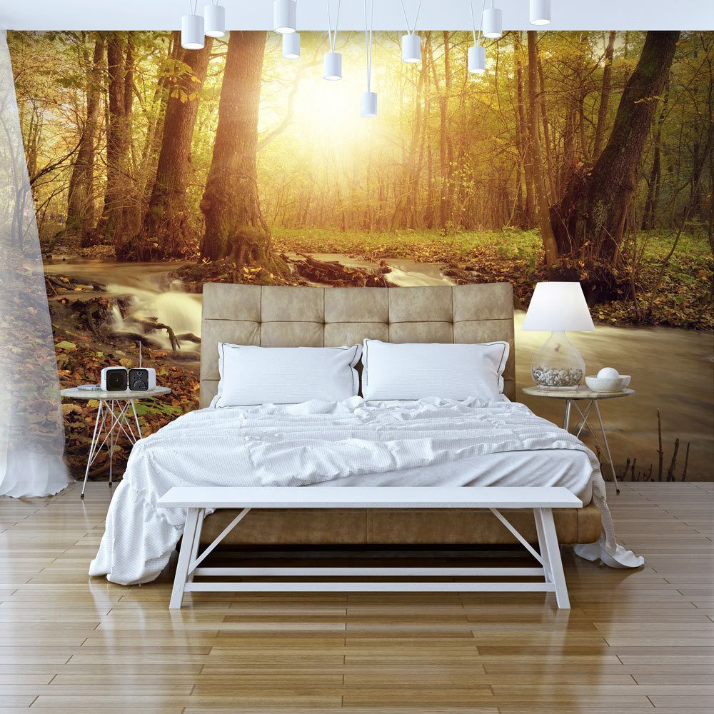 marque generique - 400x280 Papier peint Arbres et Forêt Paysages Moderne Sunny Current - Papier peint