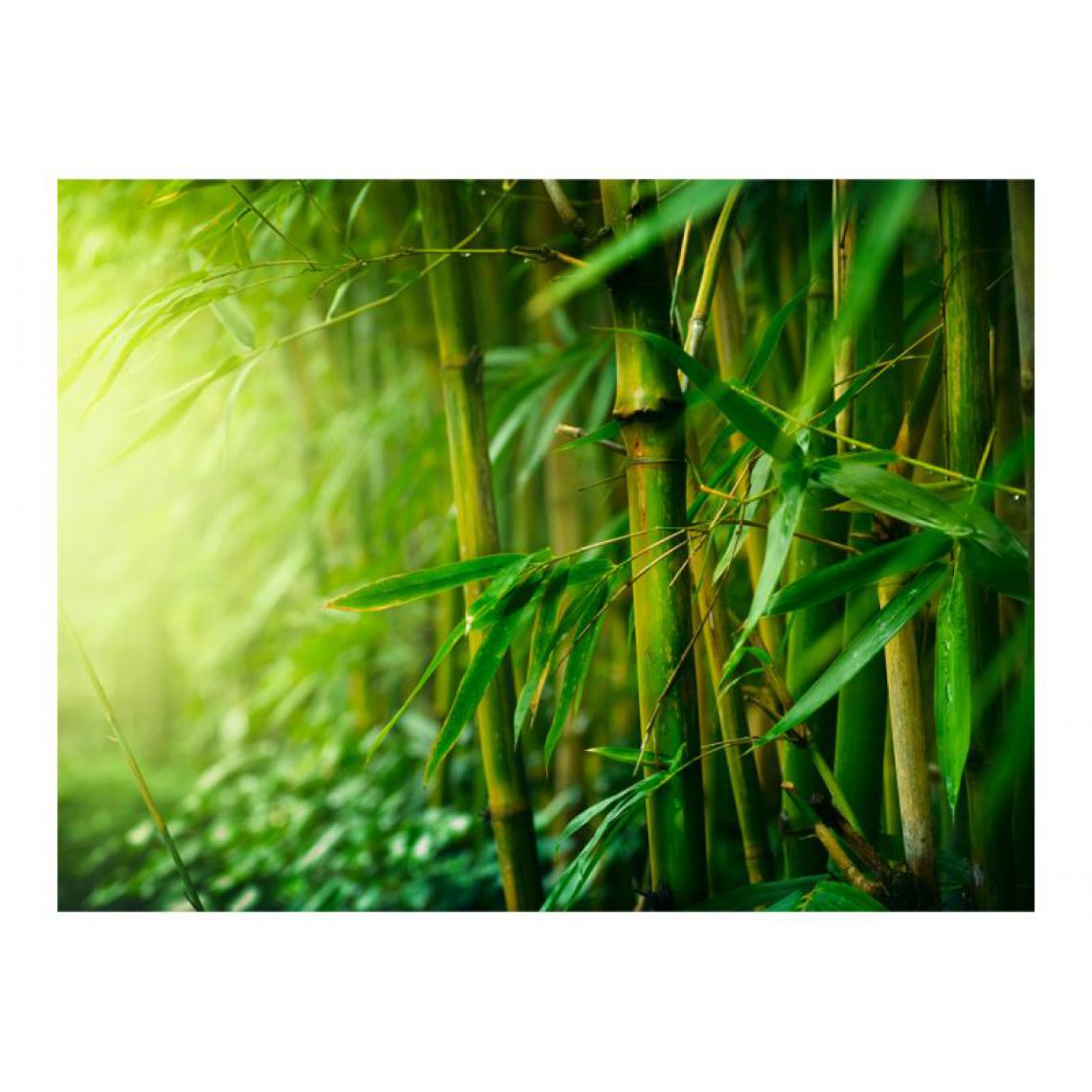 Artgeist - Papier peint - jungle - bambou .Taille : 250x193 - Papier peint