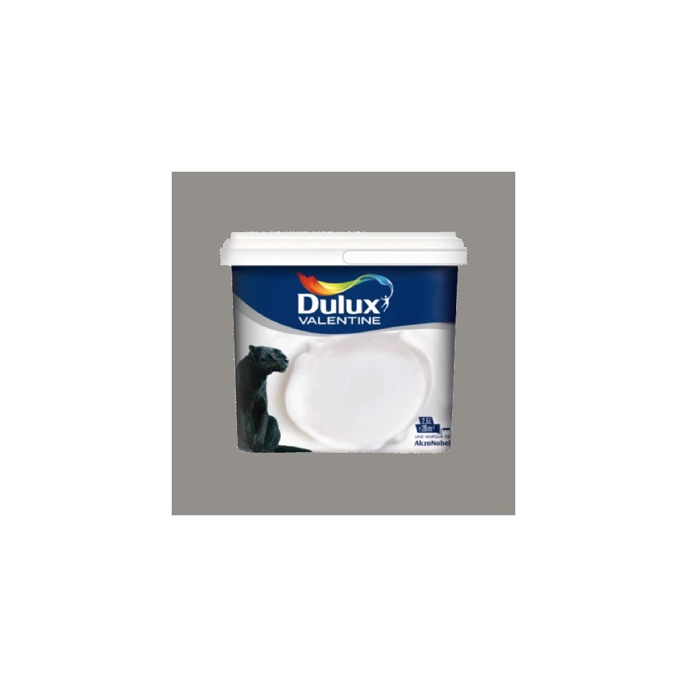 Dulux Valentine - DULUX VALENTINE Peinture acrylique Crème de couleur Gris building - Peinture intérieure