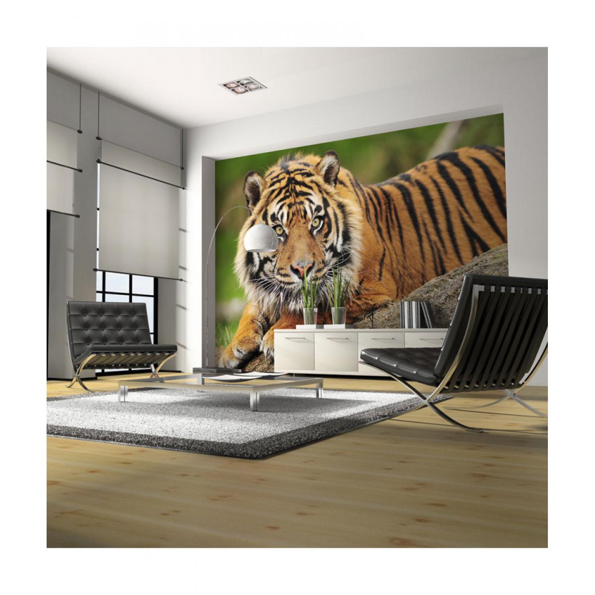 Artgeist - Papier peint - Tigre de Sumatra 250x193 - Papier peint