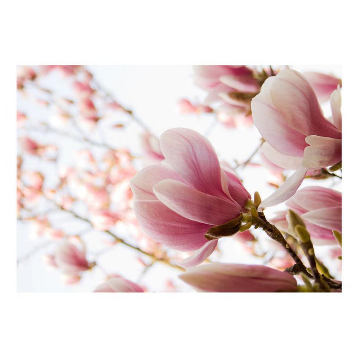 Artgeist - Papier peint - Magnolia rose .Taille : 300x231 - Papier peint