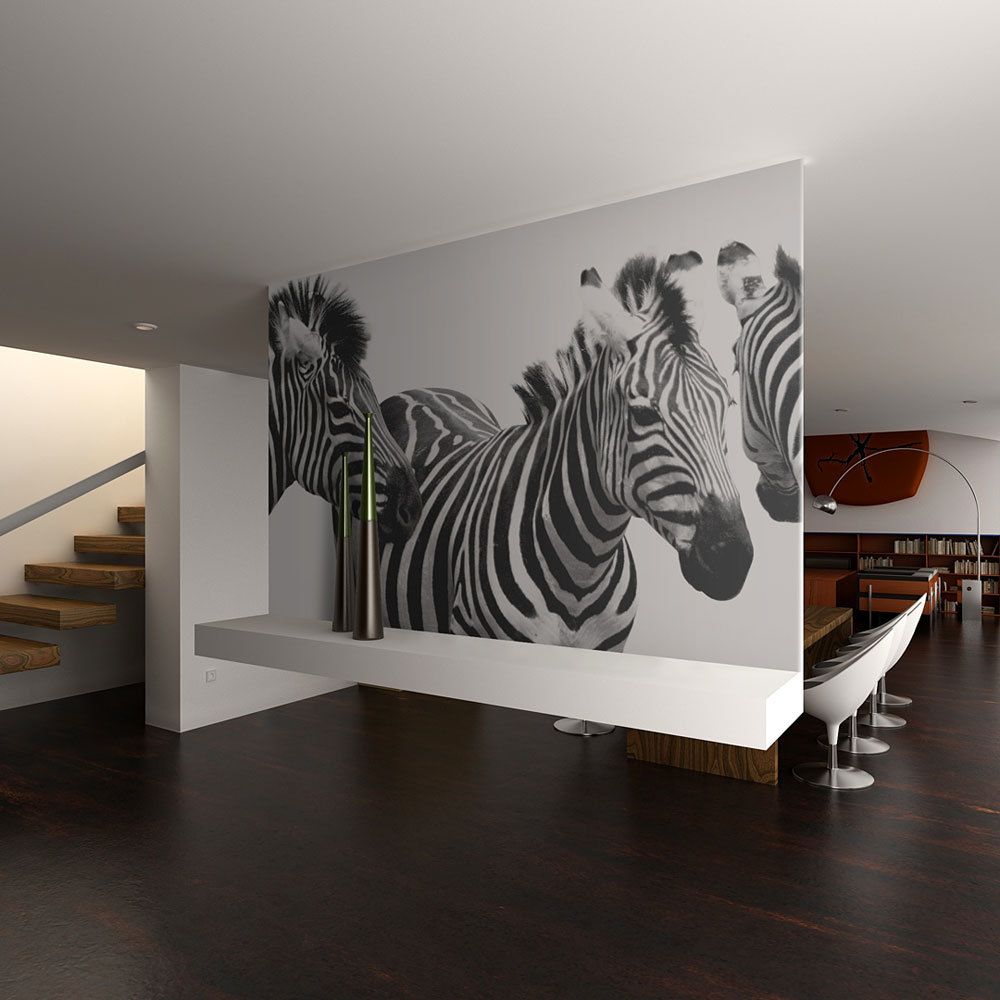 Bimago - Papier peint | Three zebras | 300x231 | | - Papier peint