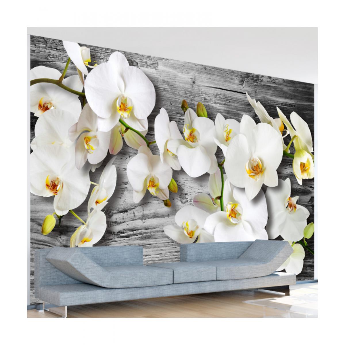 Artgeist - Papier peint - Callous orchids III 150x105 - Papier peint
