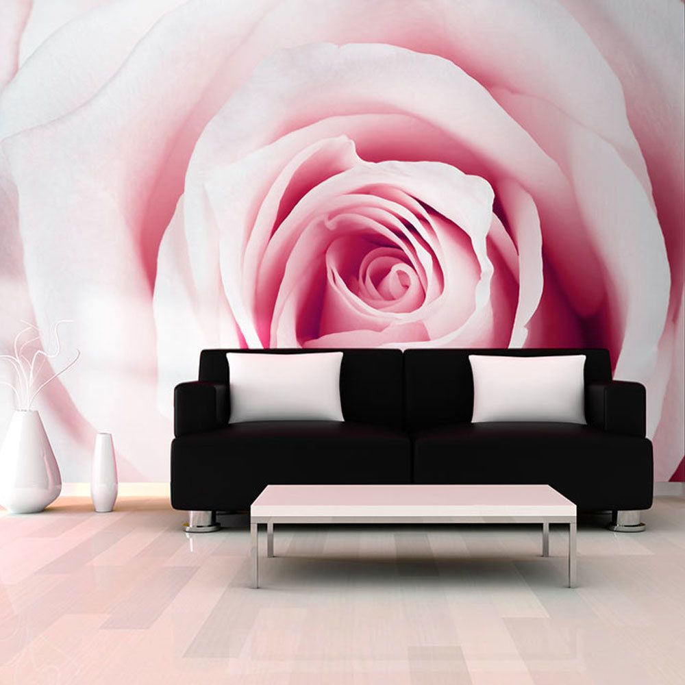 marque generique - 250x175 Papier peint Roses Fleurs Distingué Rose maze - Papier peint