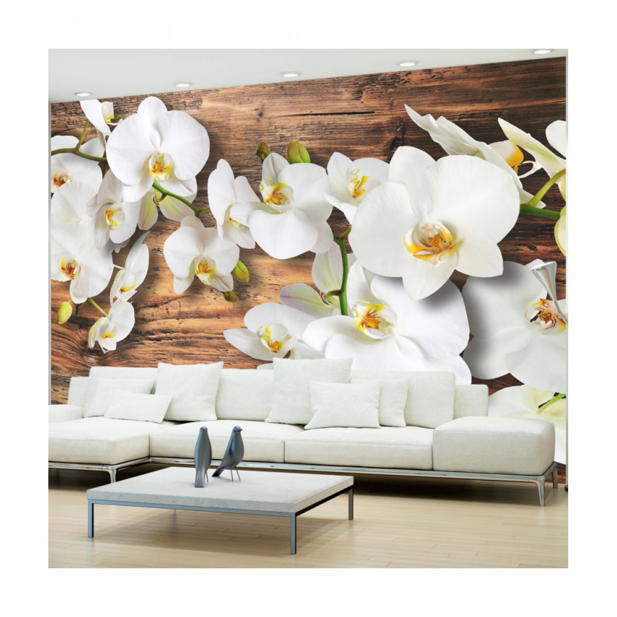 Artgeist - Papier peint - Forest Orchid 350x245 - Papier peint