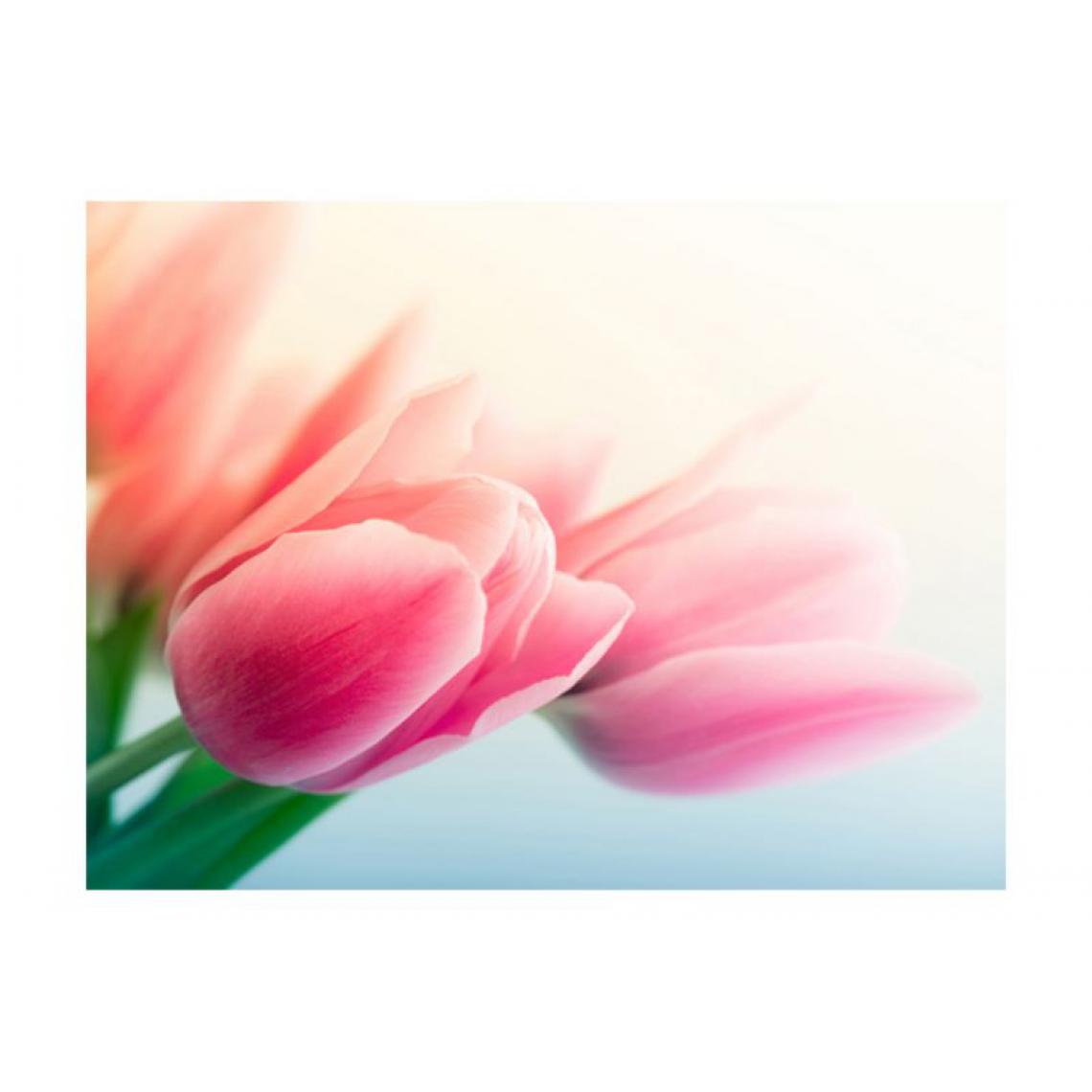 Artgeist - Papier peint - Printemps et tulipes .Taille : 350x270 - Papier peint