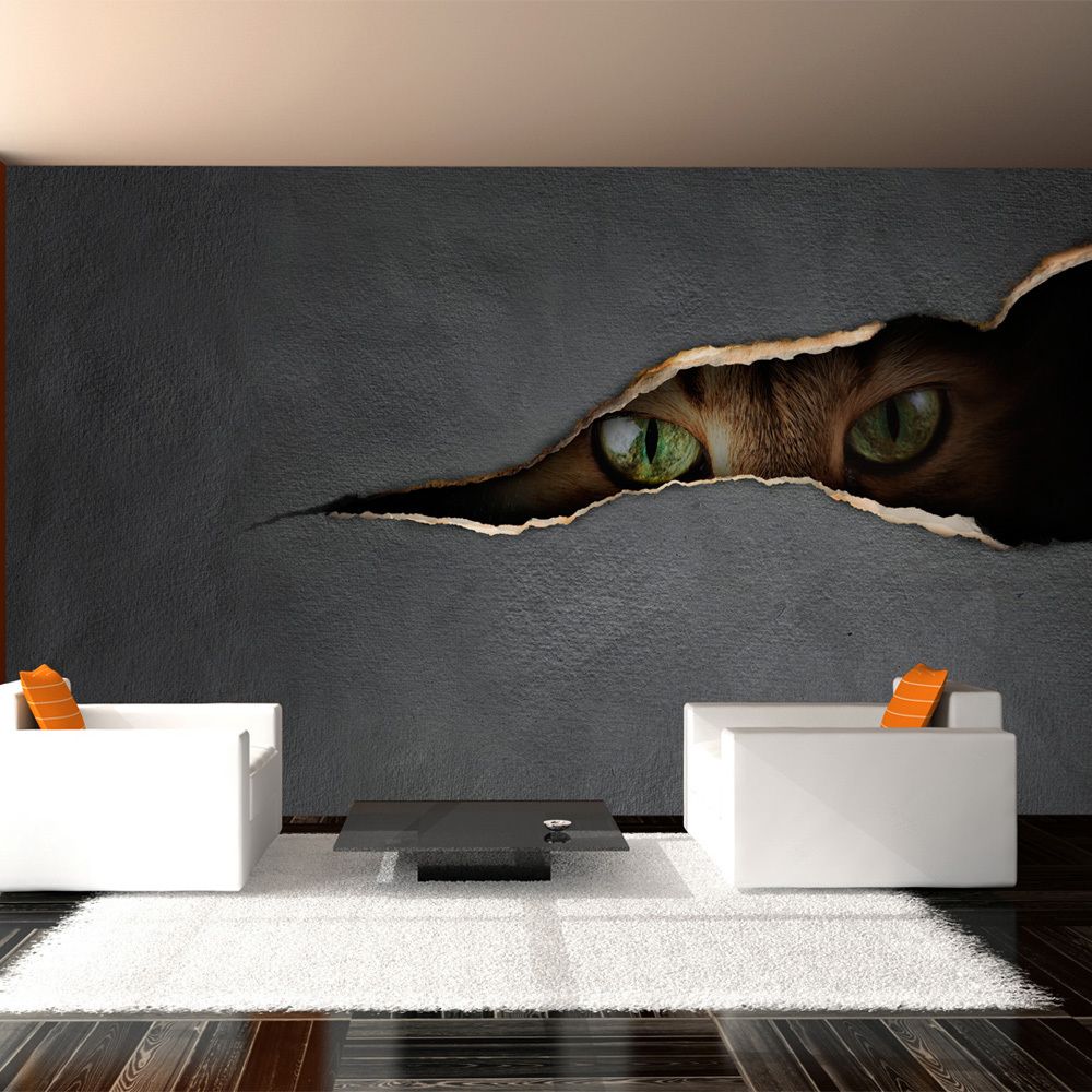 Bimago - Papier peint - Regard du chat - Décoration, image, art | 450x270 cm | XXl - Grand Format | - Papier peint