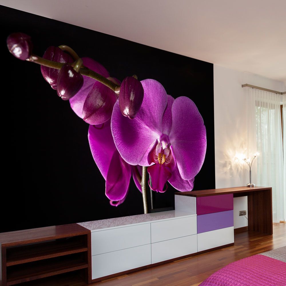 marque generique - 400x309 Papier peint Orchidées Fleurs Joli élégant orchidée - Papier peint