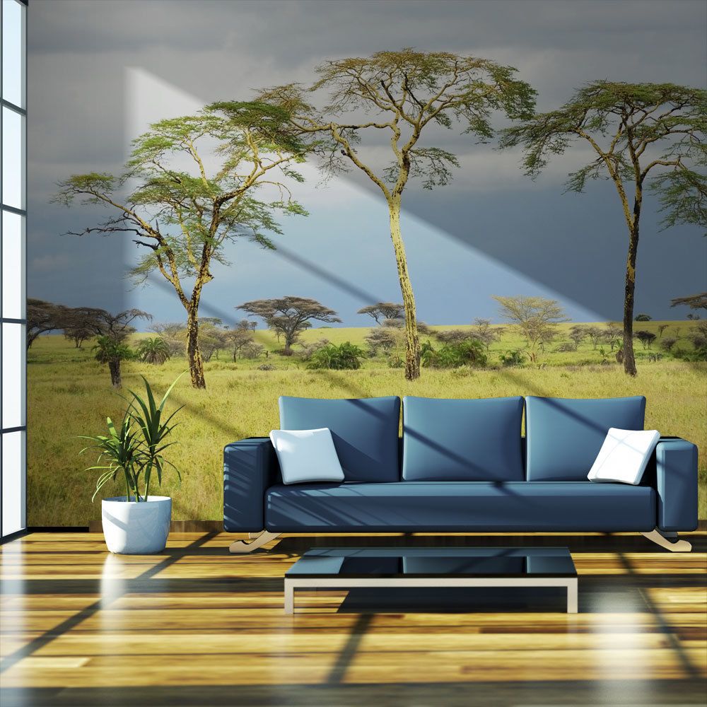 marque generique - 400x309 Papier peint Afrique Paysages Moderne Savanna trees - Papier peint