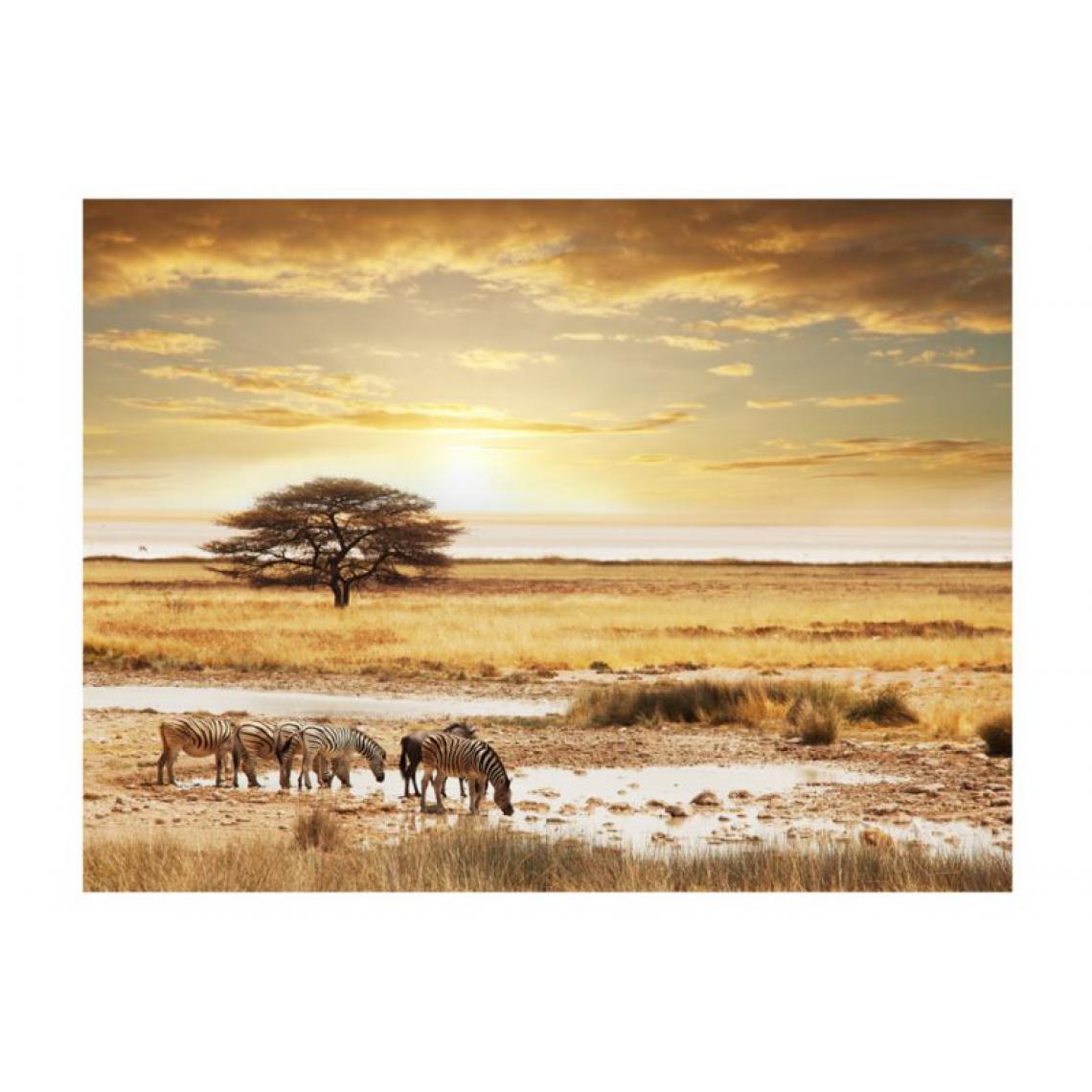 Artgeist - Papier peint - Zèbres africains à l'abreuvoir .Taille : 250x193 - Papier peint