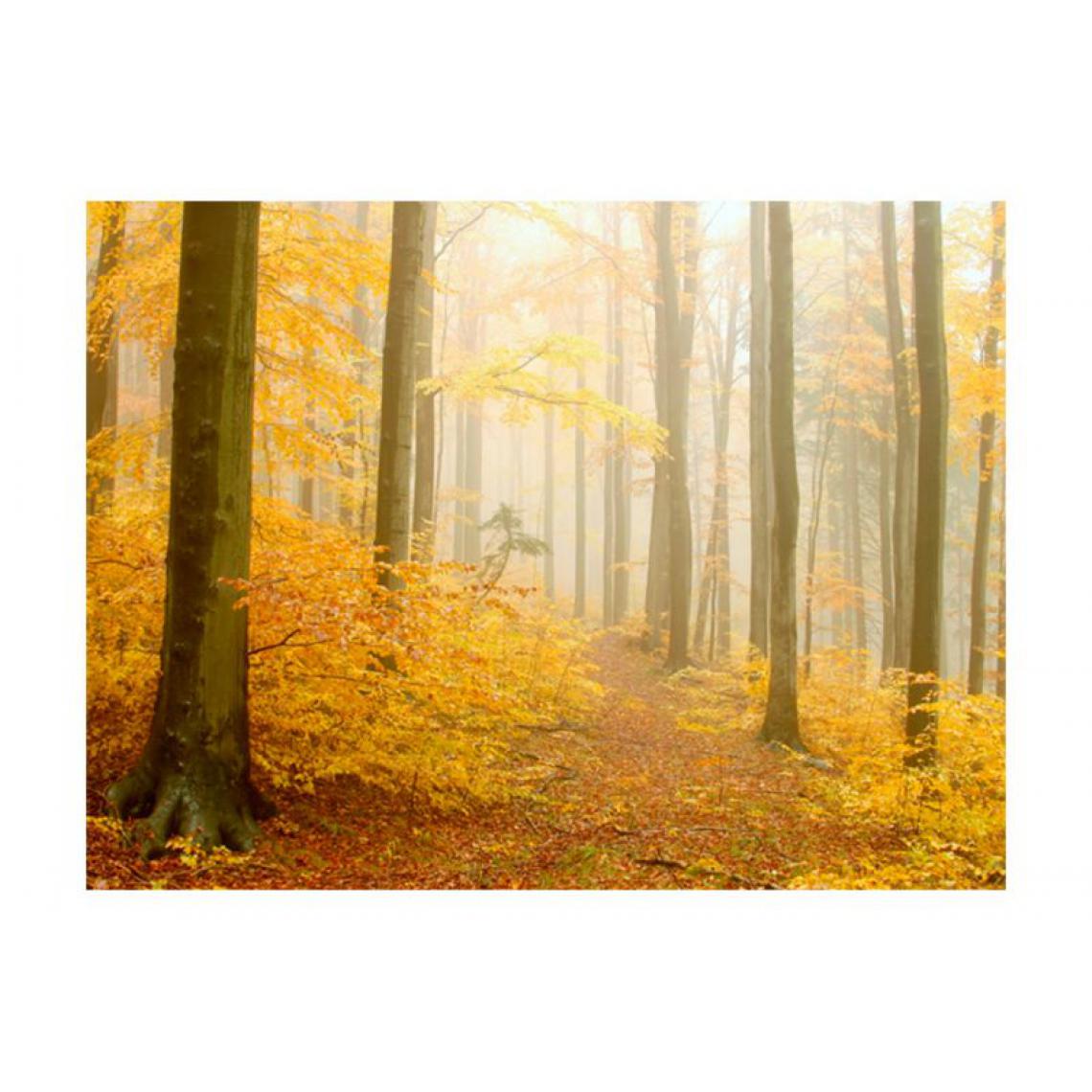 Artgeist - Papier peint - forêt - automne .Taille : 250x193 - Papier peint
