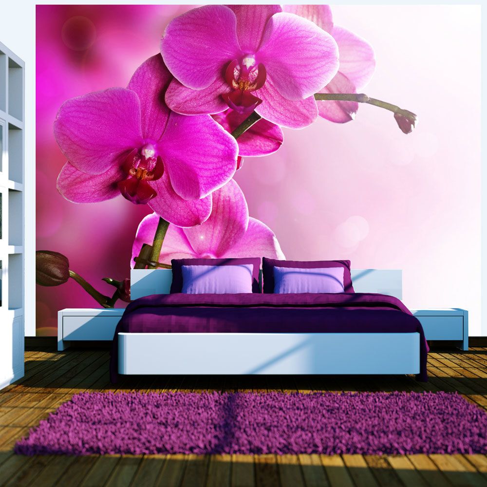 Bimago - Papier peint | Orchidée rose | 250x193 | Fleurs | Orchidées | - Papier peint