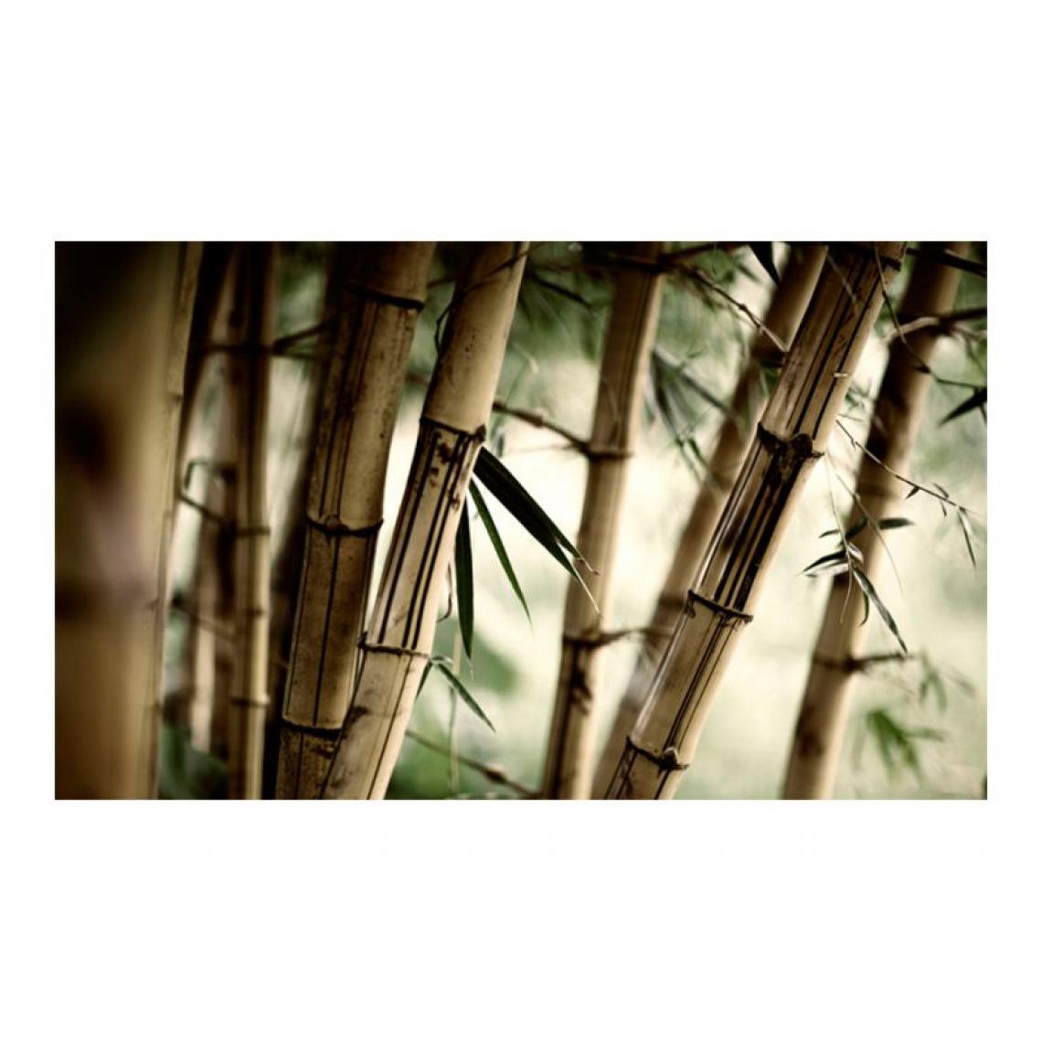 Artgeist - Papier peint - Fog and bamboo forest .Taille : 450x270 - Papier peint