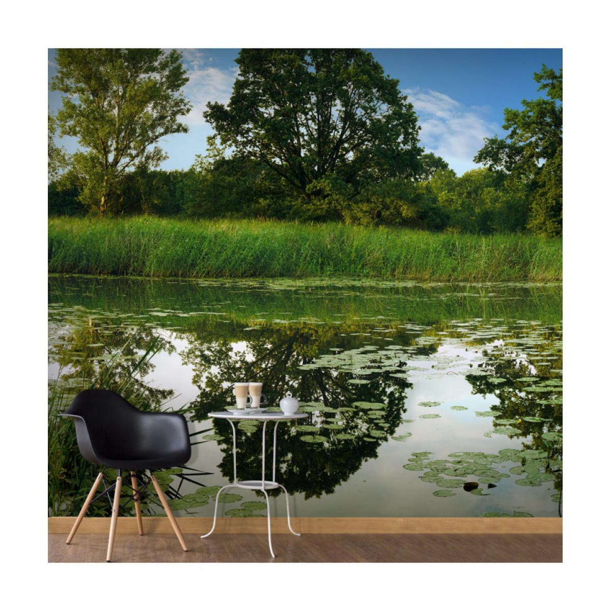 Artgeist - Papier peint - The Magic Pond 250x175 - Papier peint
