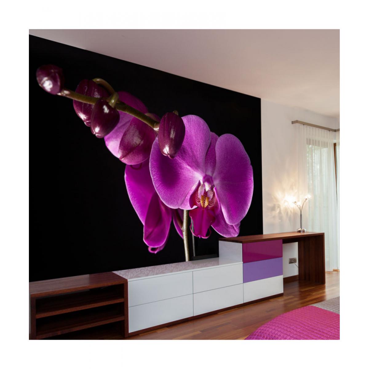 Artgeist - Papier peint - élégant orchidée 300x231 - Papier peint