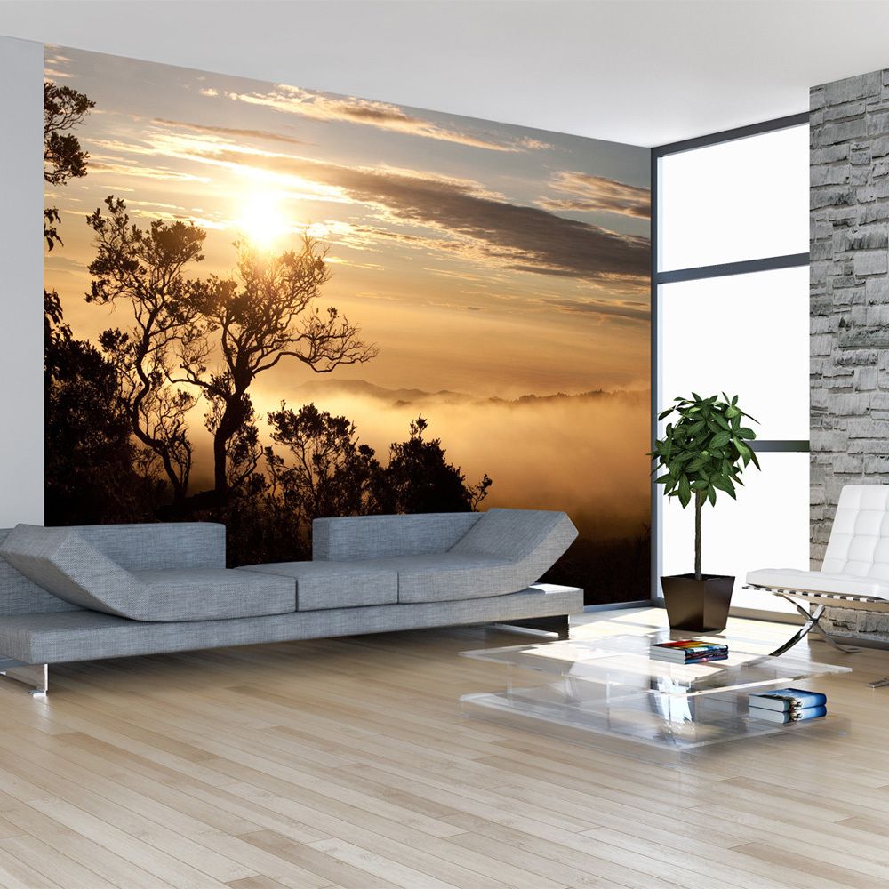 Bimago - Papier peint | Ciel et arbres | 250x193 | Paysages | Levers et couchers de soleil | - Papier peint