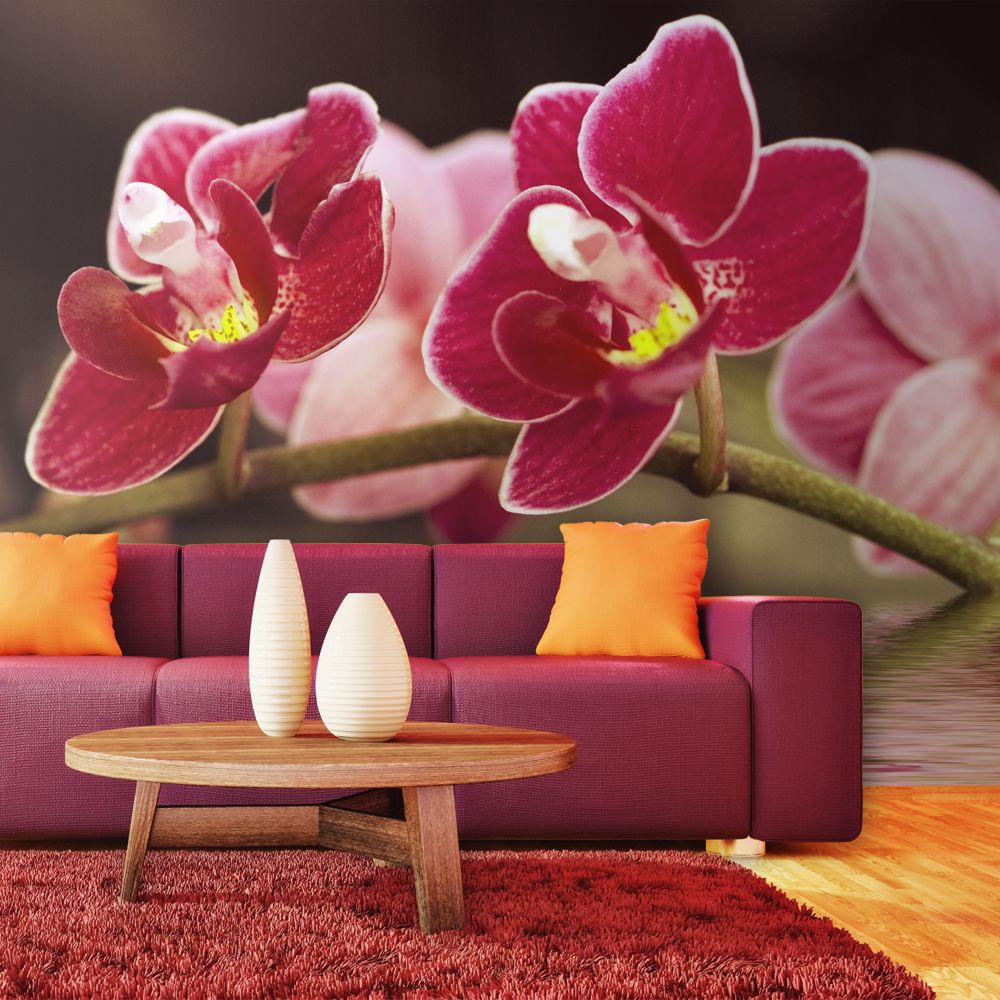 Bimago - Papier peint | Branche d'orchidée se reflétant dans l'eau | 400x309 | Fleurs | Orchidées | - Papier peint