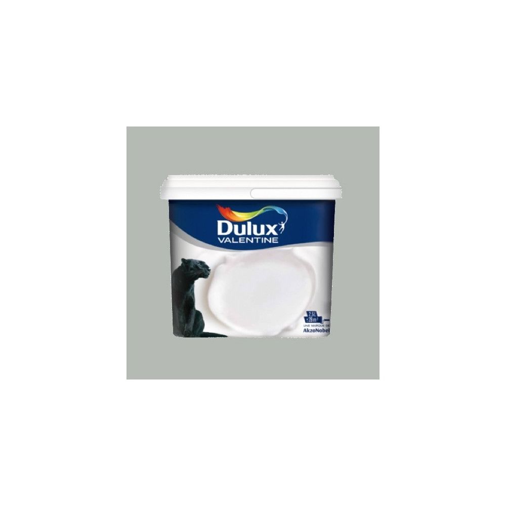 Dulux Valentine - DULUX VALENTINE Peinture acrylique Crème de couleur Gris Alpaga - Peinture intérieure
