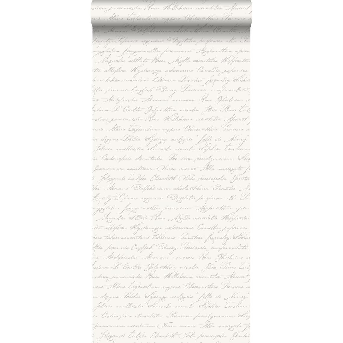 ESTAhome - ESTAhome papier peint noms de fleurs manuscrits en latin argent - 128031 - 53 cm x 10,05 m - Papier peint