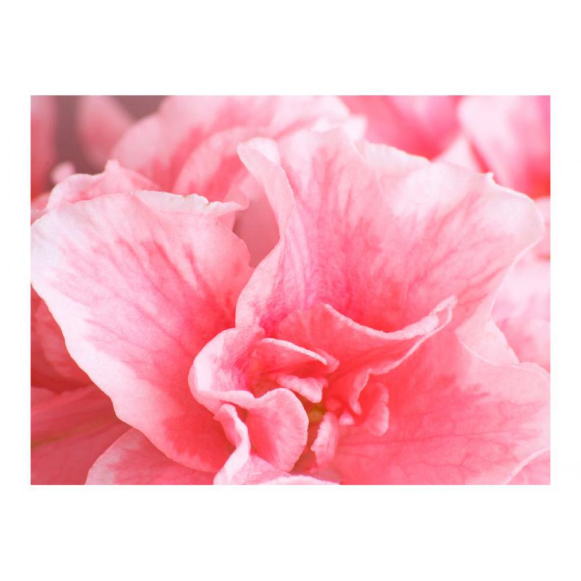 Artgeist - Papier peint - Fleurs roses de l'azalée .Taille : 350x270 - Papier peint