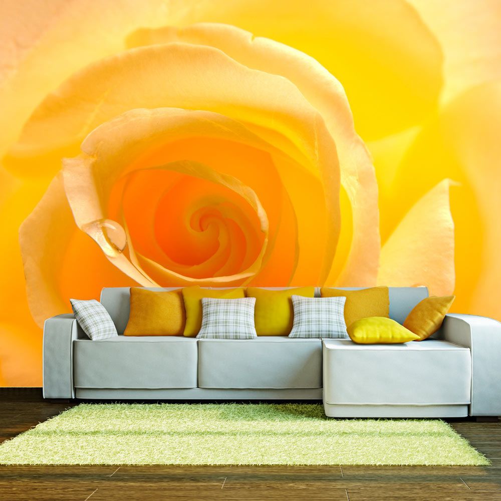 Bimago - Papier peint | Rose jaune | 400x309 | Fleurs | Roses | - Papier peint