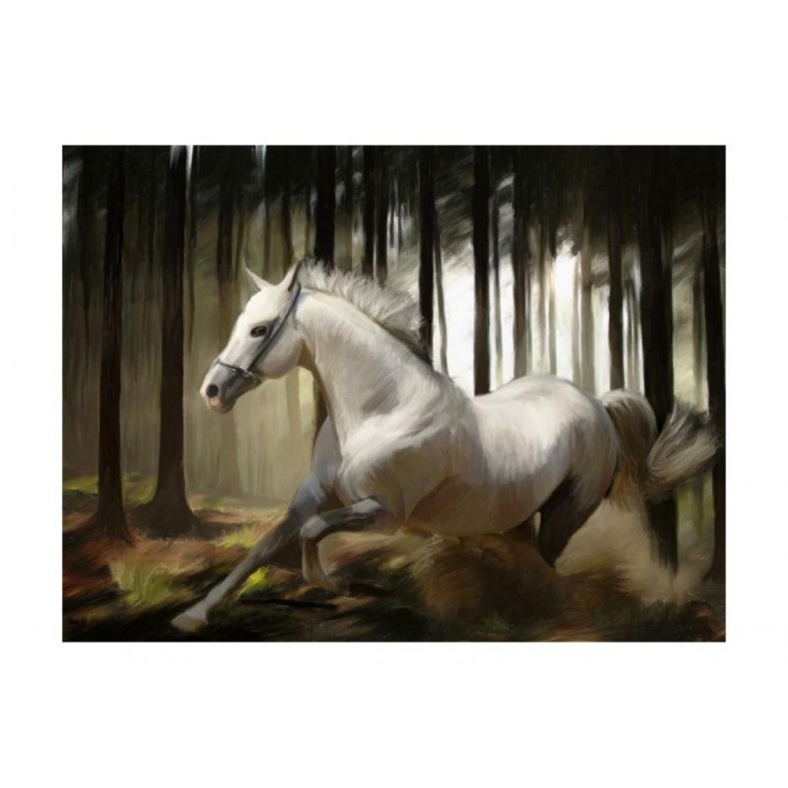 Artgeist - Papier peint - La course du cheval blanc .Taille : 350x270 - Papier peint