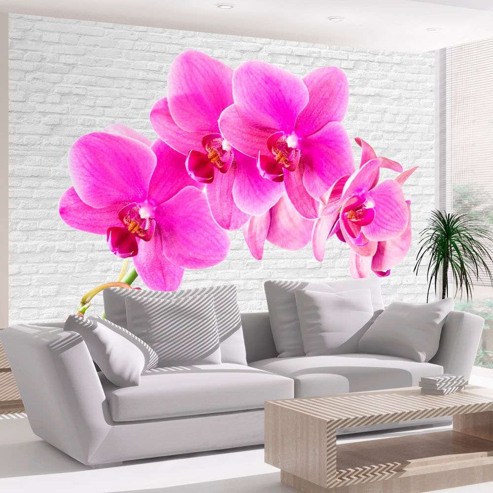 marque generique - 400x280 Papier peint Orchidées Fleurs sublime Pink excitation - Papier peint
