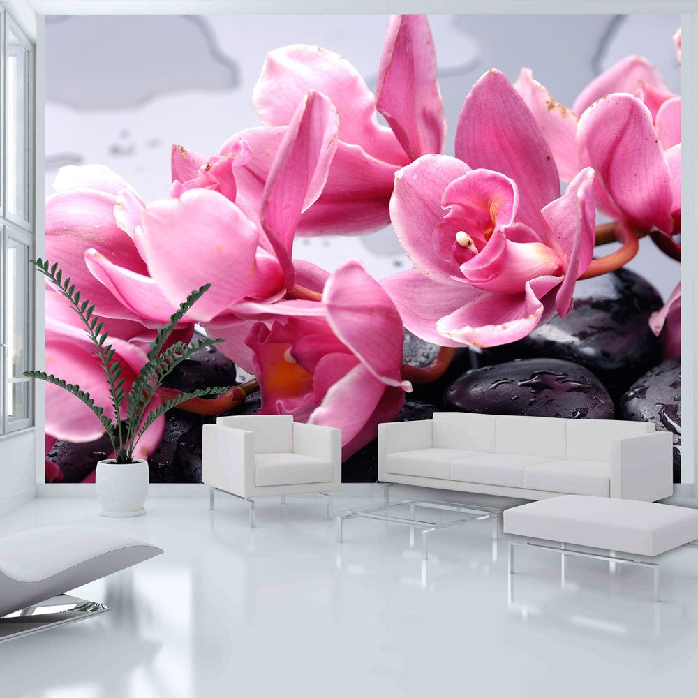 Bimago - Papier peint | Fleurs d'orchidées et galets zen | 350x270 | Fleurs | Orchidées | - Papier peint