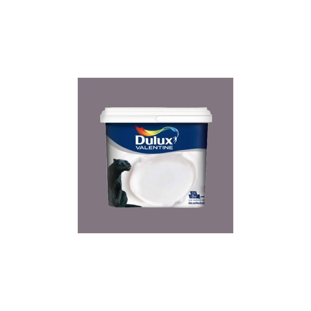 Dulux Valentine - DULUX VALENTINE Peinture acrylique Crème de couleur Bûche - Peinture intérieure