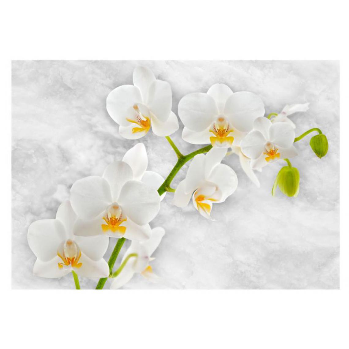 Artgeist - Papier peint - Lyrical orchid - White .Taille : 300x210 - Papier peint