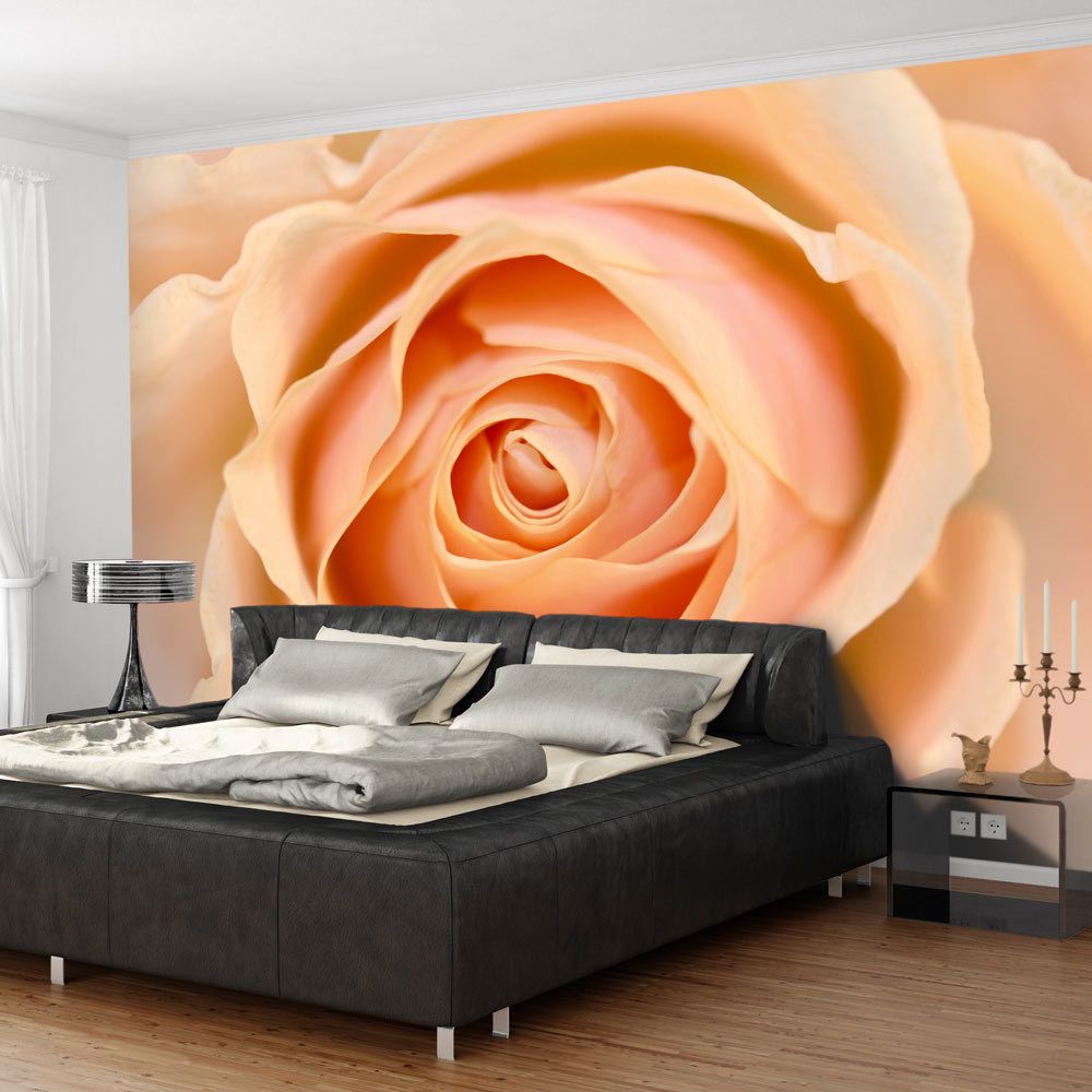 Bimago - Papier peint | Peach | 250x193 | Fleurs | Roses | colored rose | - Papier peint