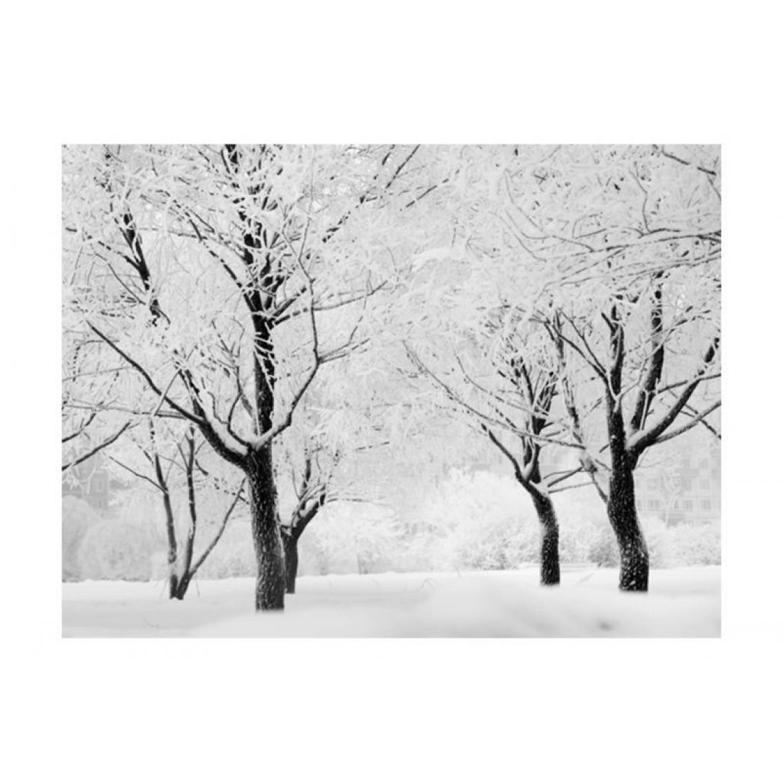 Artgeist - Papier peint - Arbres - paysage d'hiver .Taille : 400x309 - Papier peint