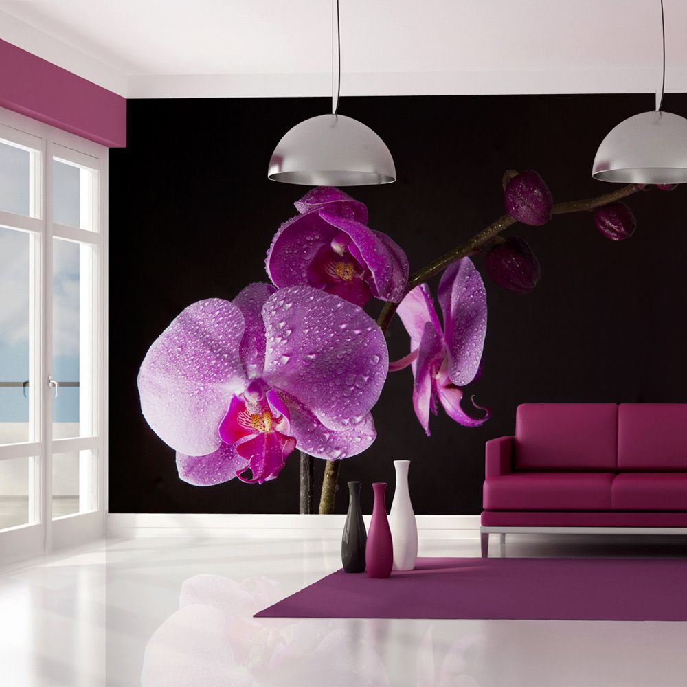 marque generique - 400x309 Papier peint Orchidées Fleurs sublime de bon goût orchidée - Papier peint