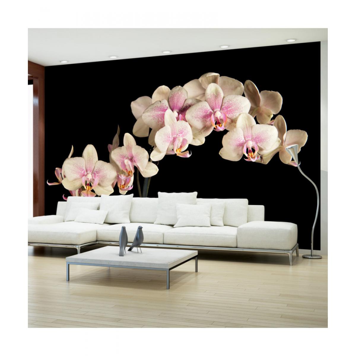 Artgeist - Papier peint - Orchidée en fleurs 450x270 - Papier peint