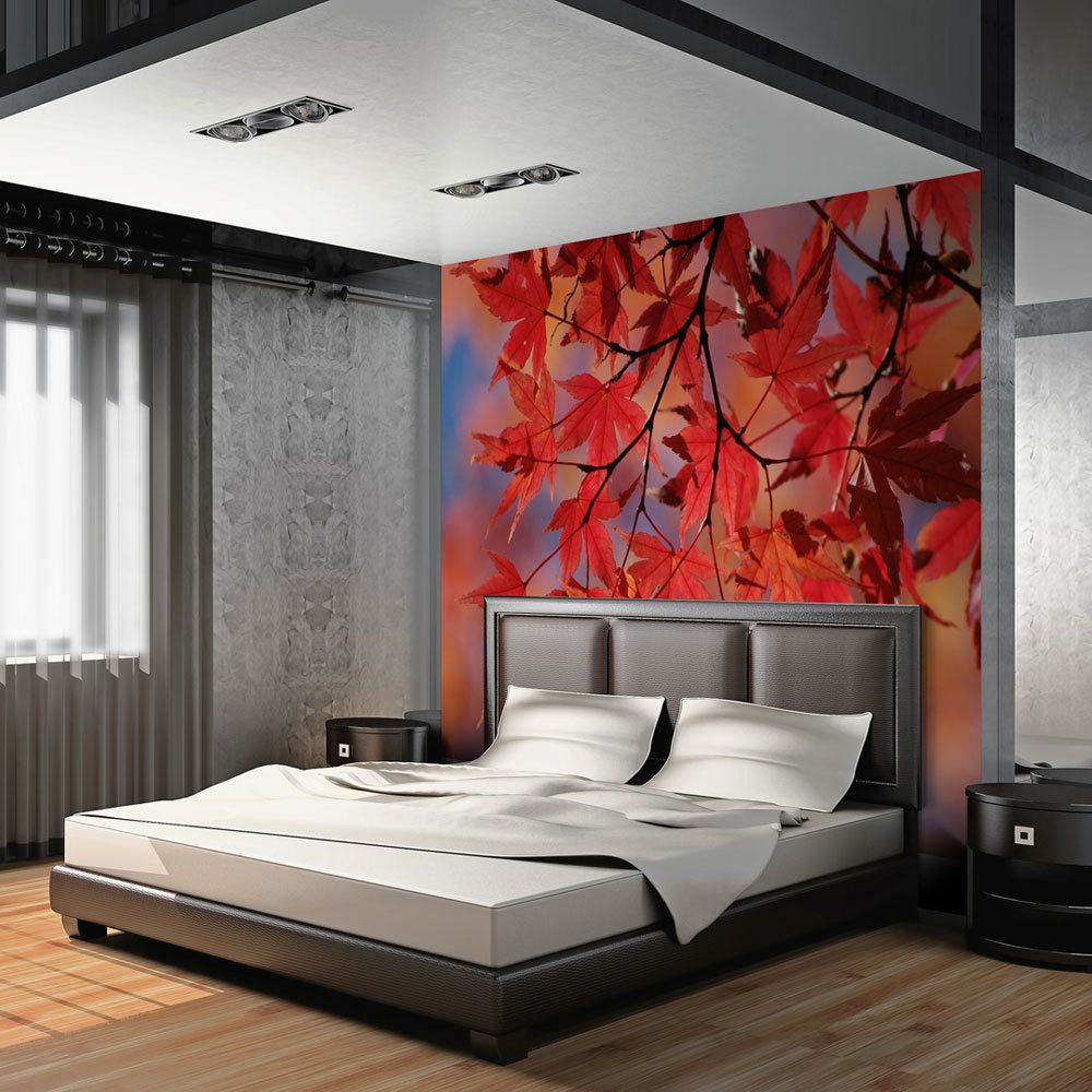 Bimago - Papier peint | Red japanese maple | 400x309 | Paysages | Arbres et Forêt | - Papier peint
