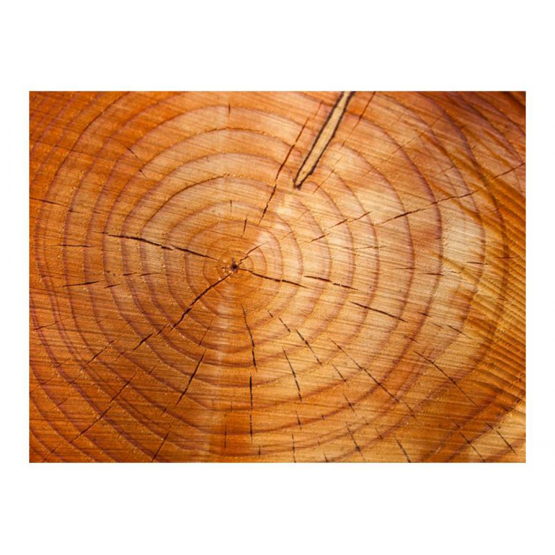 Artgeist - Papier peint - Tronc d'arbre avec des anneaux annuels .Taille : 350x270 - Papier peint
