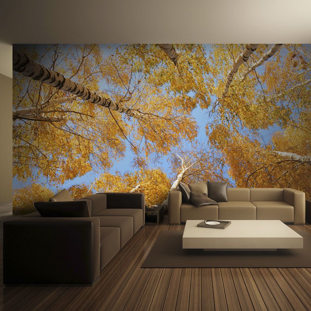 marque generique - 200x154 Papier peint Arbres et Forêt Paysages Distingué Arbres d'automne - Papier peint