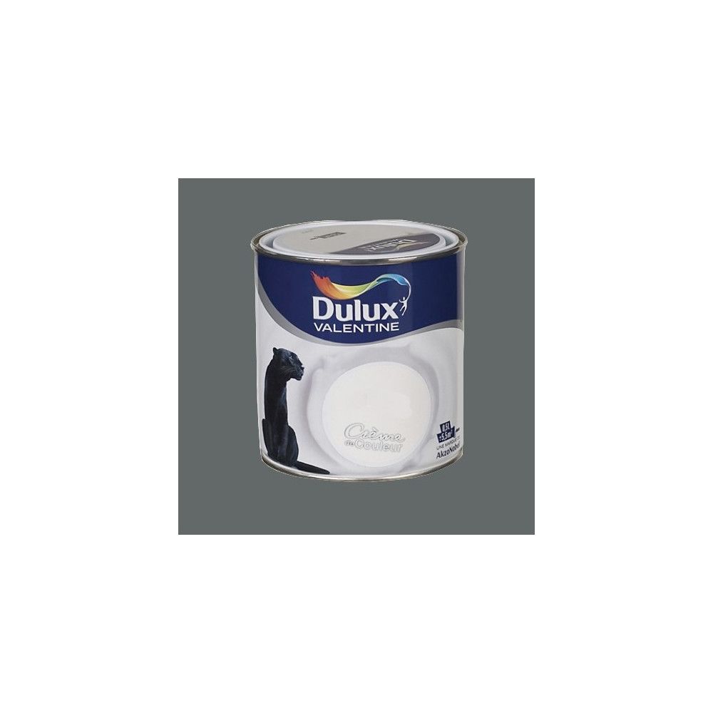Dulux Valentine - DULUX VALENTINE Peinture acrylique Crème de couleur Anthracite - Peinture intérieure