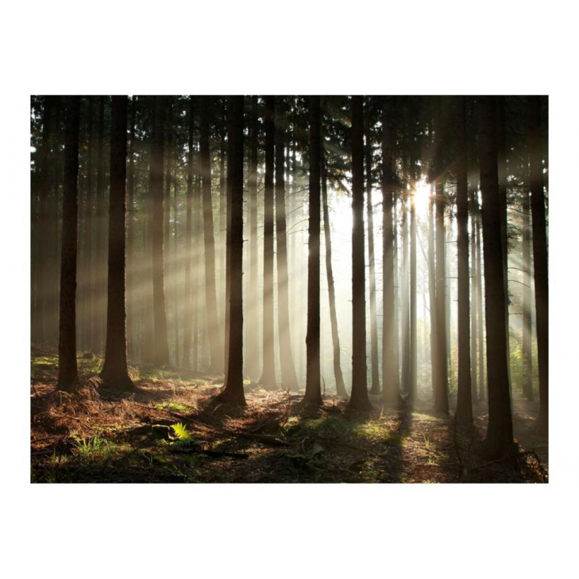 Artgeist - Papier peint - Forêt dans le brouillard du matin .Taille : 200x154 - Papier peint