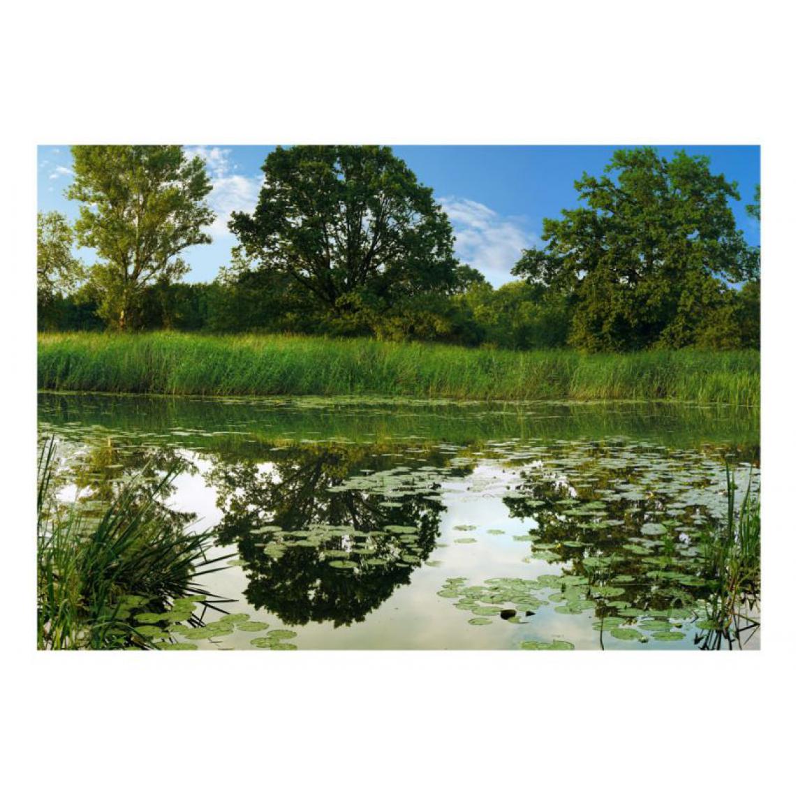 Artgeist - Papier peint - The Magic Pond .Taille : 400x280 - Papier peint