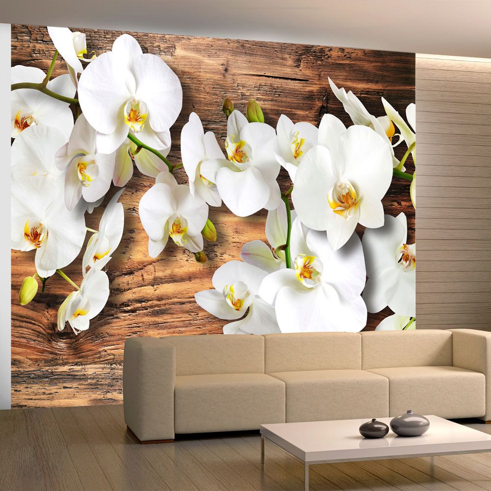 Bimago - Papier peint | Snow | 350x270 | Fleurs | Orchidées | white orchids | - Papier peint