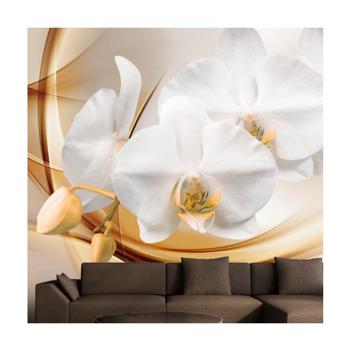Artgeist - Papier peint - Orchid blossom 350x245 - Papier peint