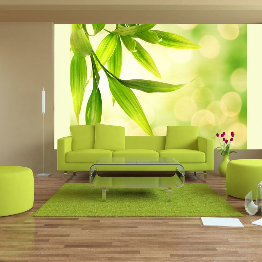 Bimago - Papier peint | Feuilles de bambou vert | 350x270 | Paysages | Arbres et Forêt | - Papier peint