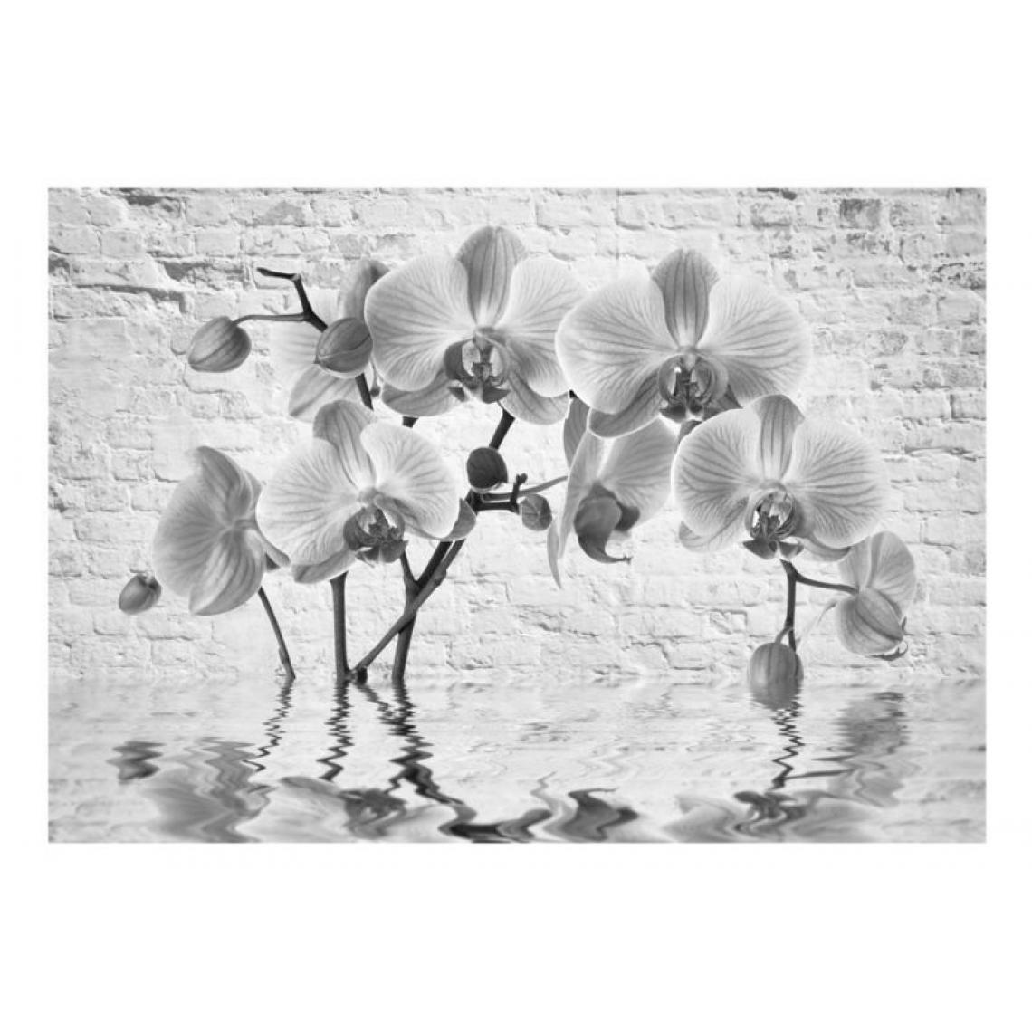Artgeist - Papier peint - Orchid in Shades of Gray .Taille : 400x280 - Papier peint