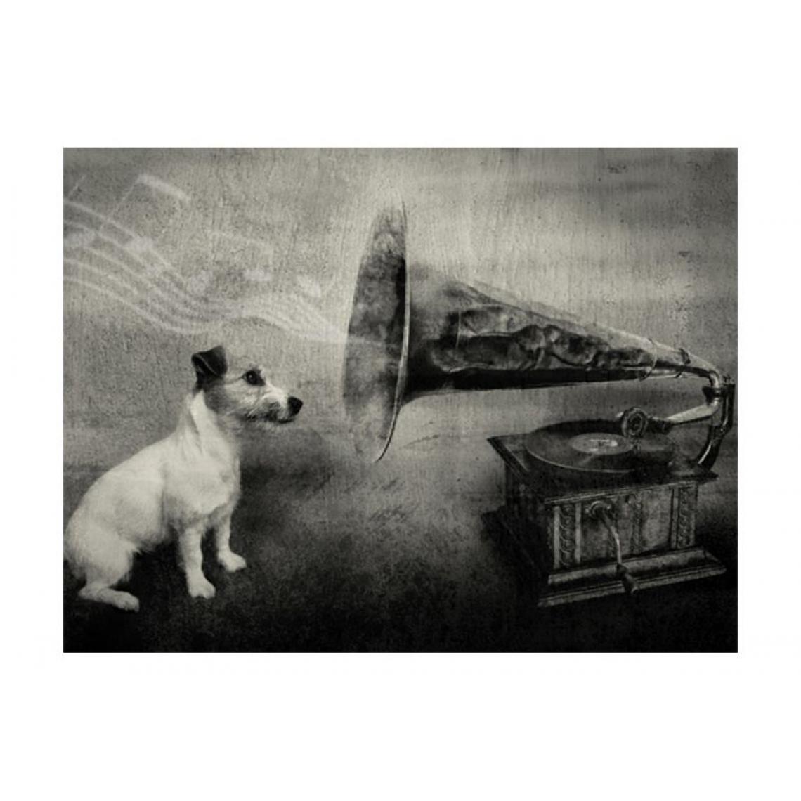 Artgeist - Papier peint - Dog's melodies .Taille : 350x270 - Papier peint