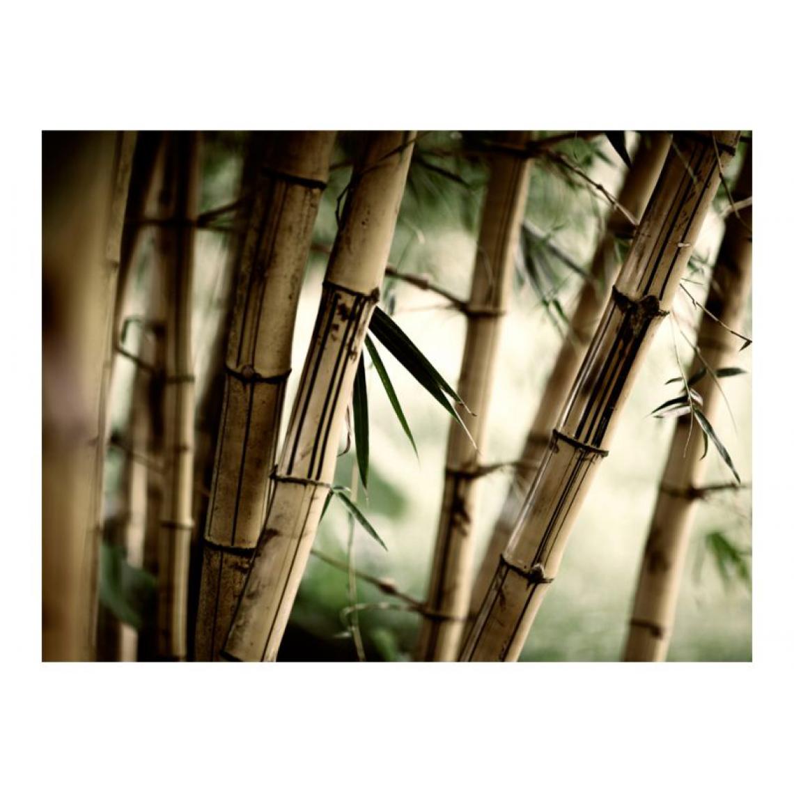 Artgeist - Papier peint - Fog and bamboo forest .Taille : 400x309 - Papier peint