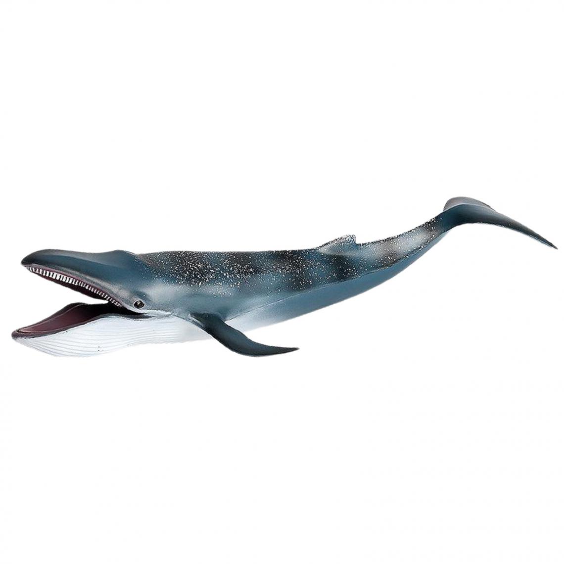 marque generique - Figurines D'action de Baleine Bleue Réalistes Jouet D'apprentissage de Modèle de Créature D'animal de Mer - Films et séries